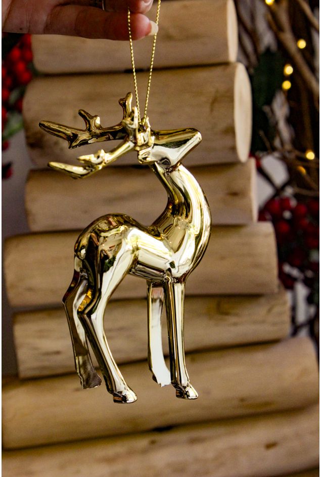 IMG_7670-2 IMG_7670-2