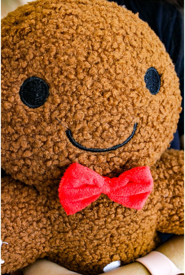 Almofada-Gingerbread-Natal--3-