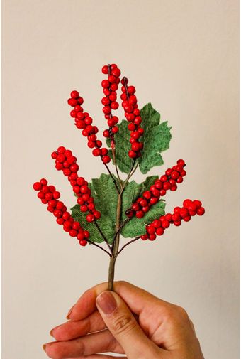 Mini-Pick-Berries-Natal--1-