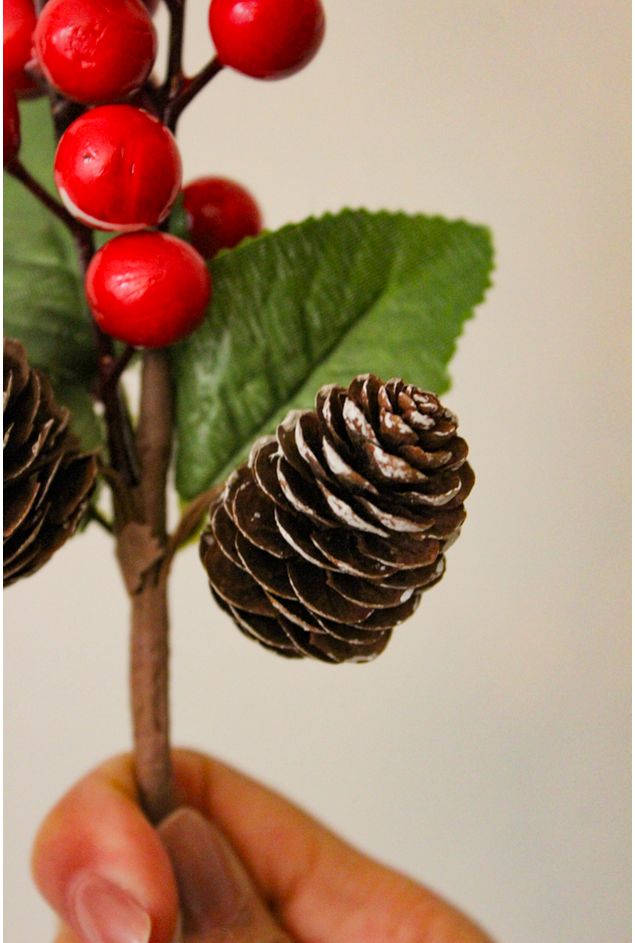 Mini-Pick-Pinhas-Natal--2-