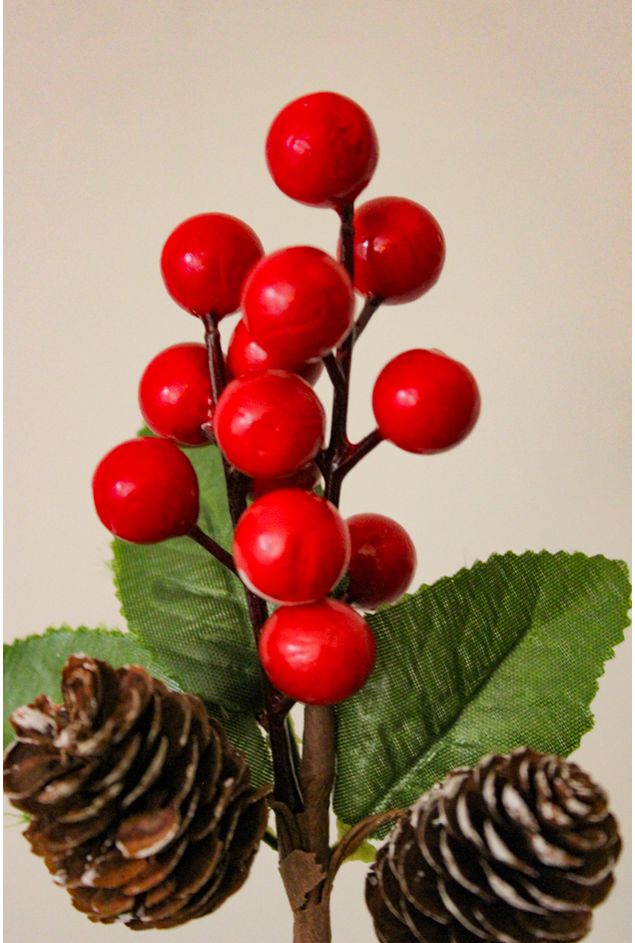 Mini-Pick-Pinhas-Natal--1-