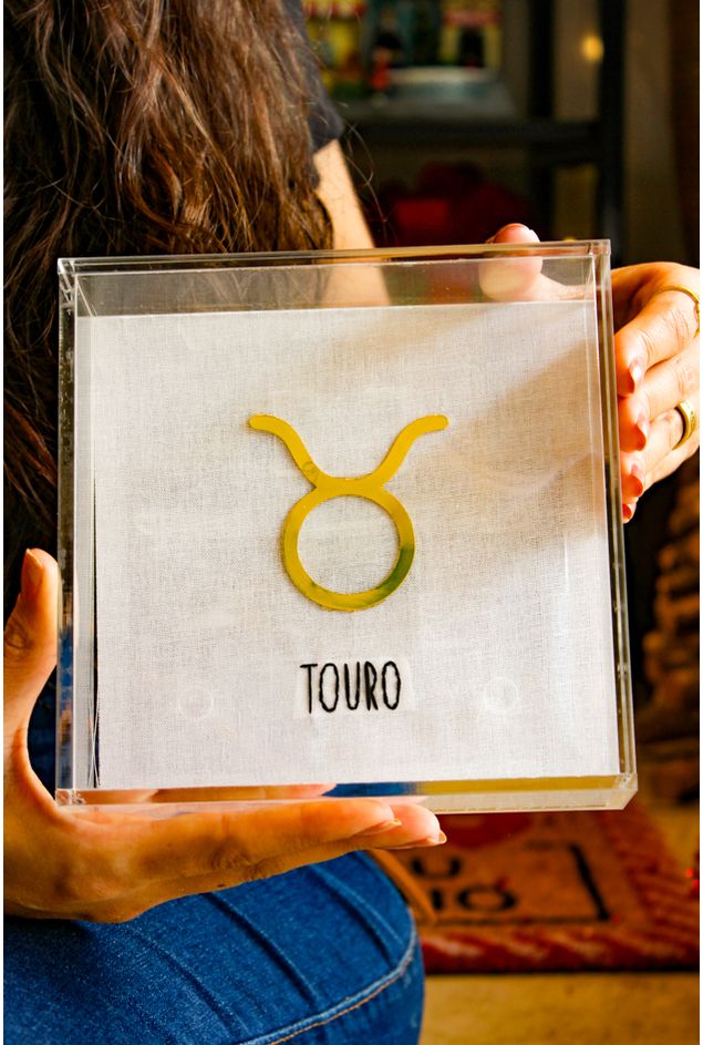 Quadro-Acrilico-Touro-Mimo-Galeria