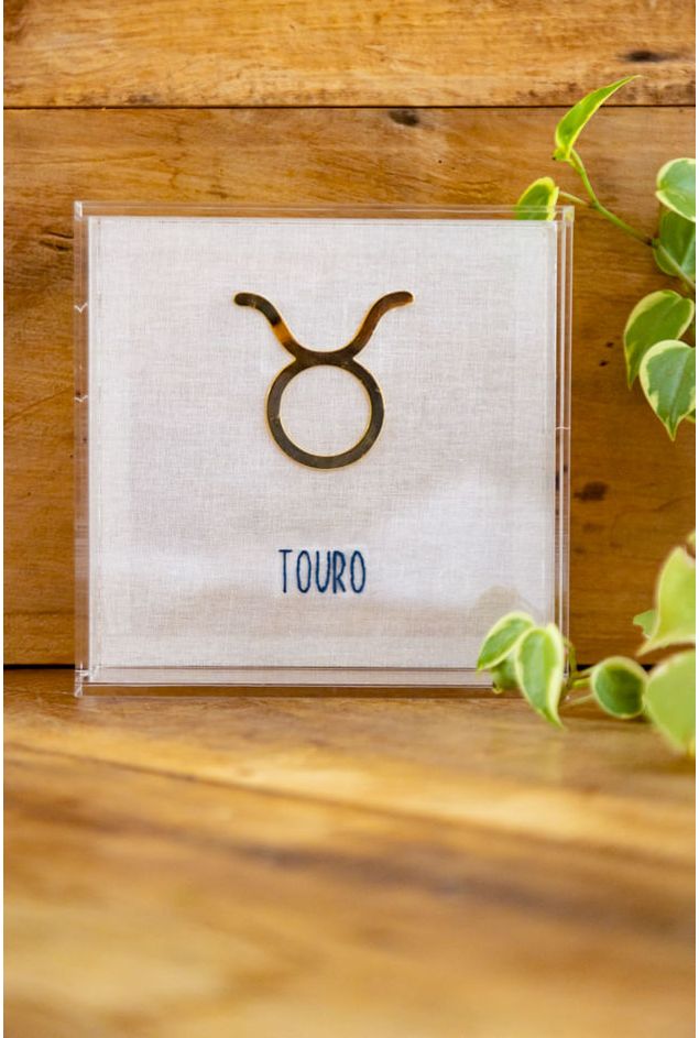 Quadro-Acrilico-Touro-Mimo-Galeria--1-