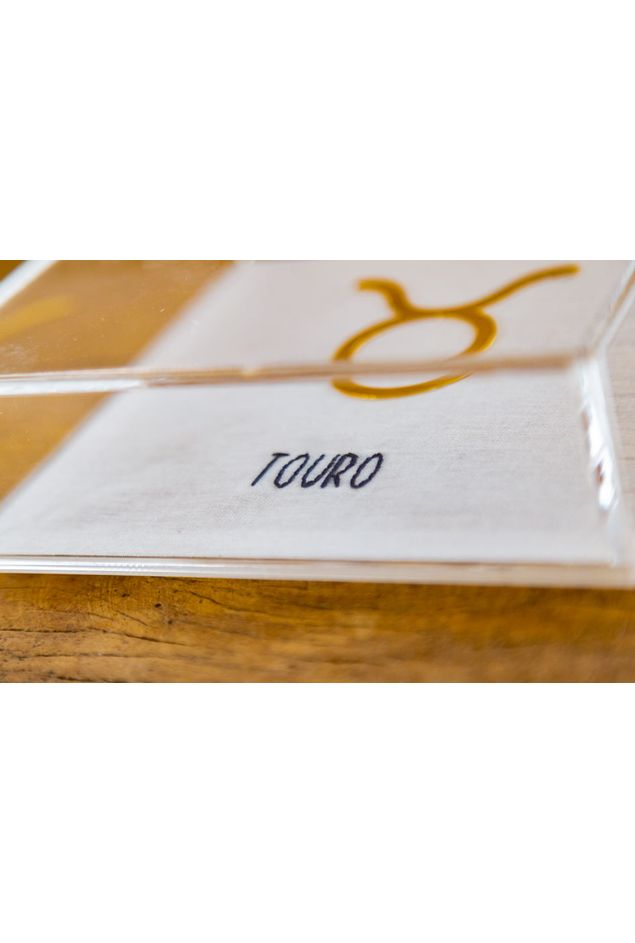 Quadro-Acrilico-Touro-Mimo-Galeria--2-