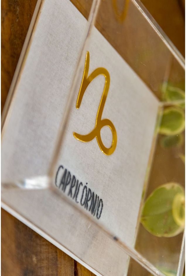 Quadro-Acrilico-Capricornio-Mimo-Galeria--1-