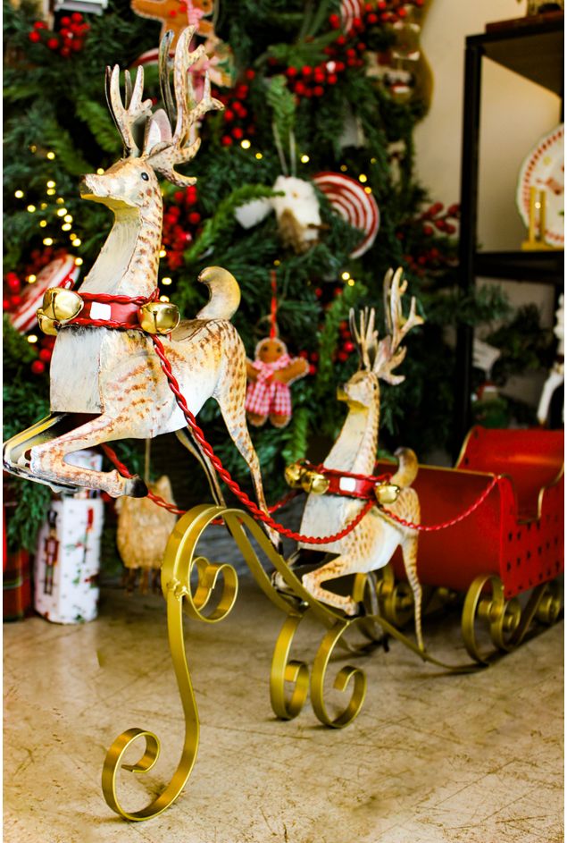 Treno-Com-Renas-Natal--1-