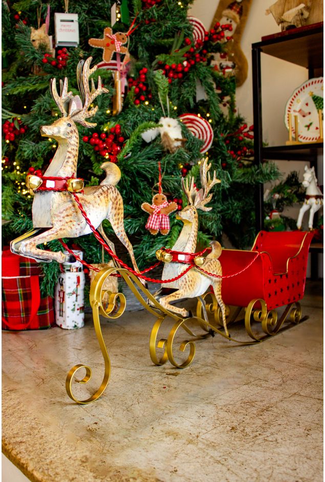 Treno-Com-Renas-Natal--4-