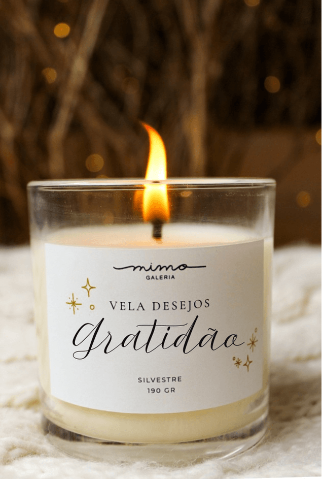 Vela-Desejos-Gratidao-Mimo-Galeria--4-