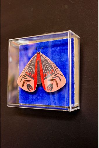 Quadro-Acrilico-Pinus-Borboleta-Marrom-Mercatto--2-