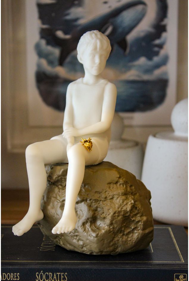Escultura-o-Menino-na-Pedra---Sui-Objetos--10-