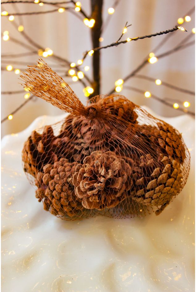 Pacote de Pinhas 12 UN Natal Pacote de Pinhas 12 UN Pacote de Pinhas 12 UN Natal Pacote de Pinhas 12 UN