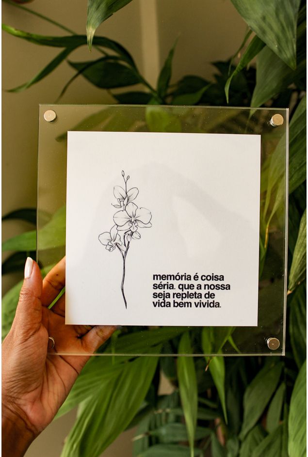 Quadro Acrílico Memória Mimo Galeria