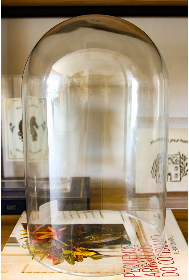 Cupula de vidro media 18,3x 30cm Cupula de vidro media 18,3x 30cm