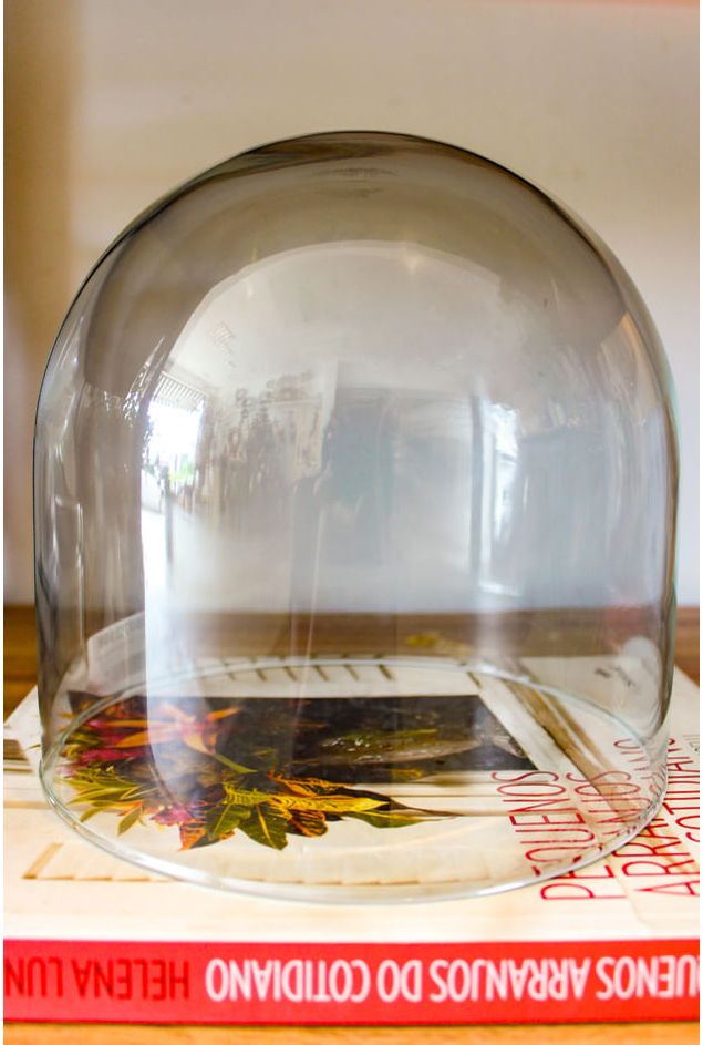 Cupula de vidro pequena 18,3x19cm