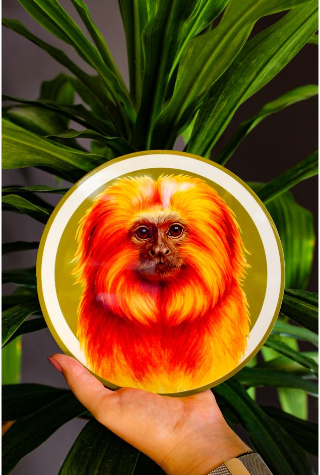 Azulejo Decorativo Redondo  Macaco Mimo Galeria