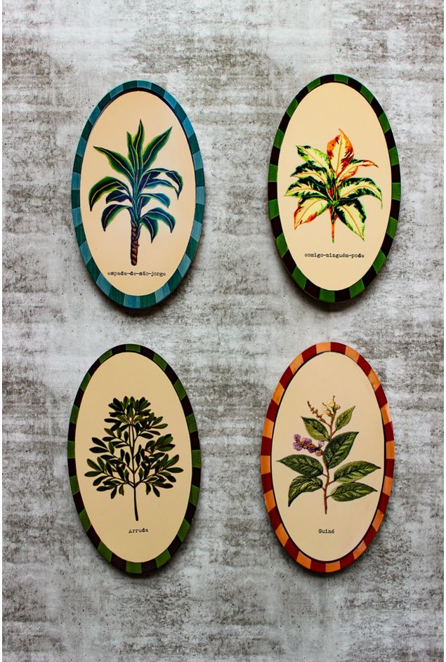 Combinação de Parede Ervas Botânicas