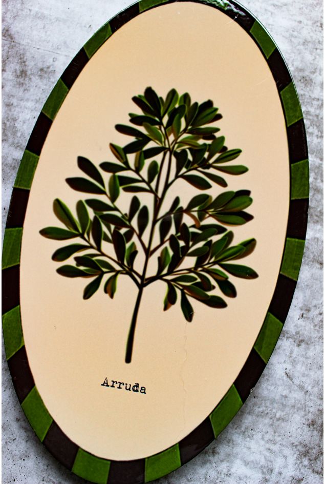 Combinacao-de-Parede-Ervas-Botanicas---1-