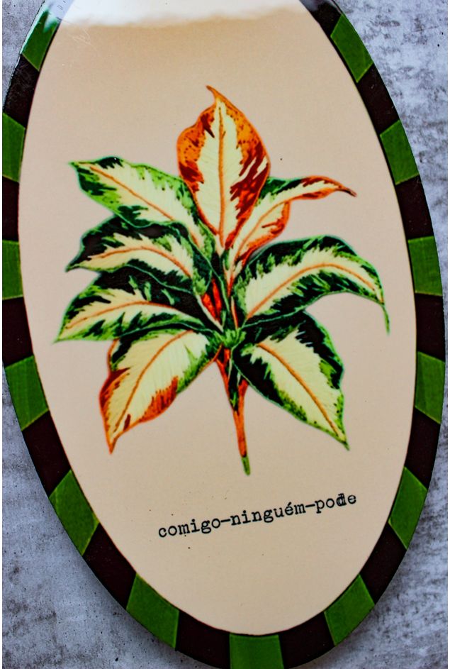 Combinacao-de-Parede-Ervas-Botanicas--1-