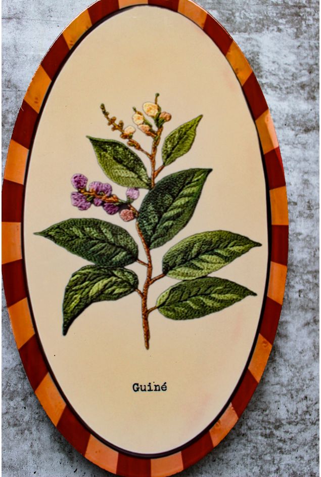 Combinacao-de-Parede-Ervas-Botanicas--2-