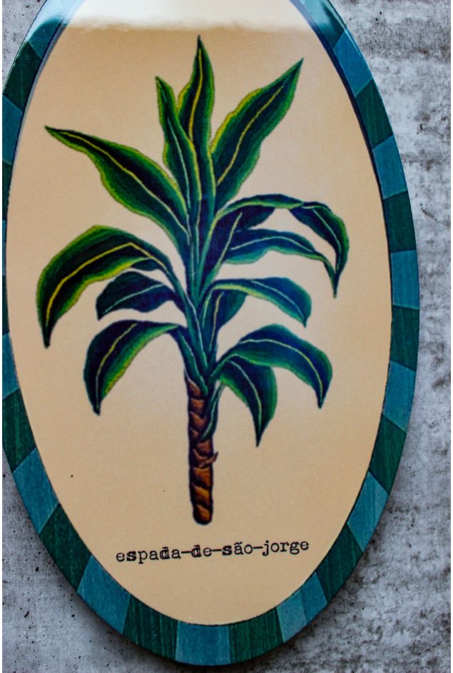 Combinacao-de-Parede-Ervas-Botanicas--3-