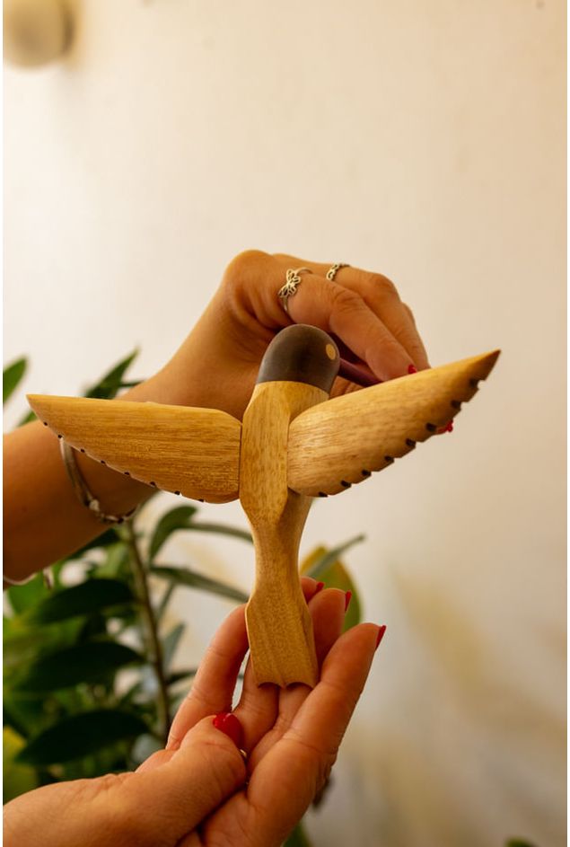 Beija-flor-de-Madeira-Alexandre