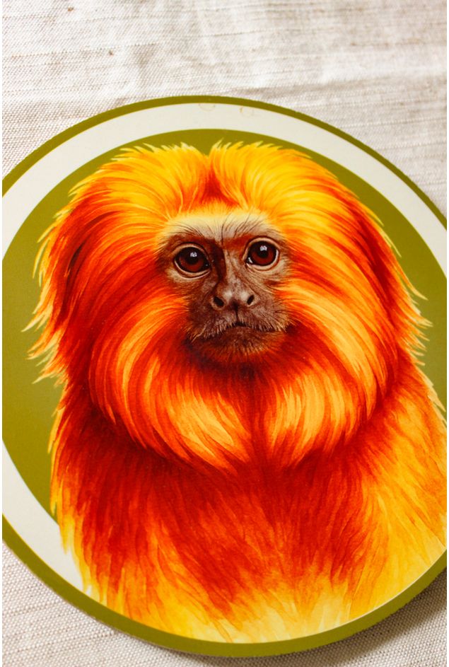 Azulejo-Decorativo-Redondo-Macaco-Mimo-Galeria--2-