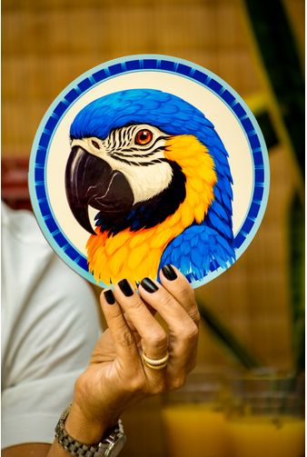 Mimo-nova-colecao-89-2