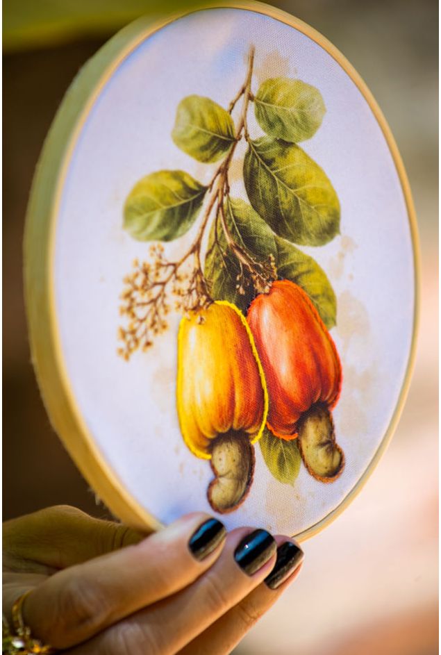 Mimo-nova-colecao-155