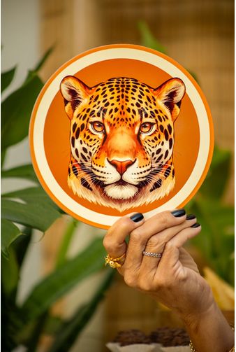 Mimo-nova-colecao-92