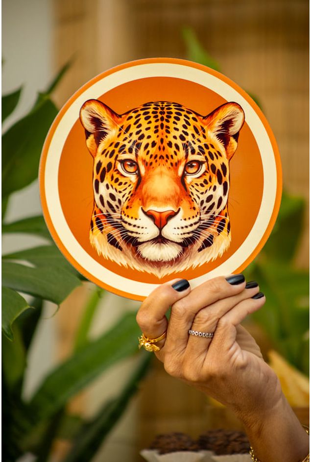 Mimo-nova-colecao-92