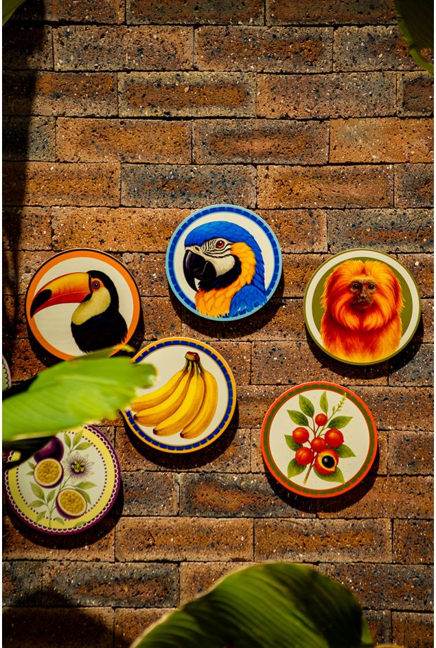 Mimo-nova-colecao-142