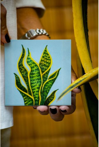 Mimo-nova-colecao-117