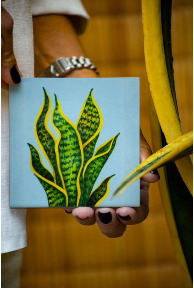 Mimo-nova-colecao-117 Mimo-nova-colecao-117