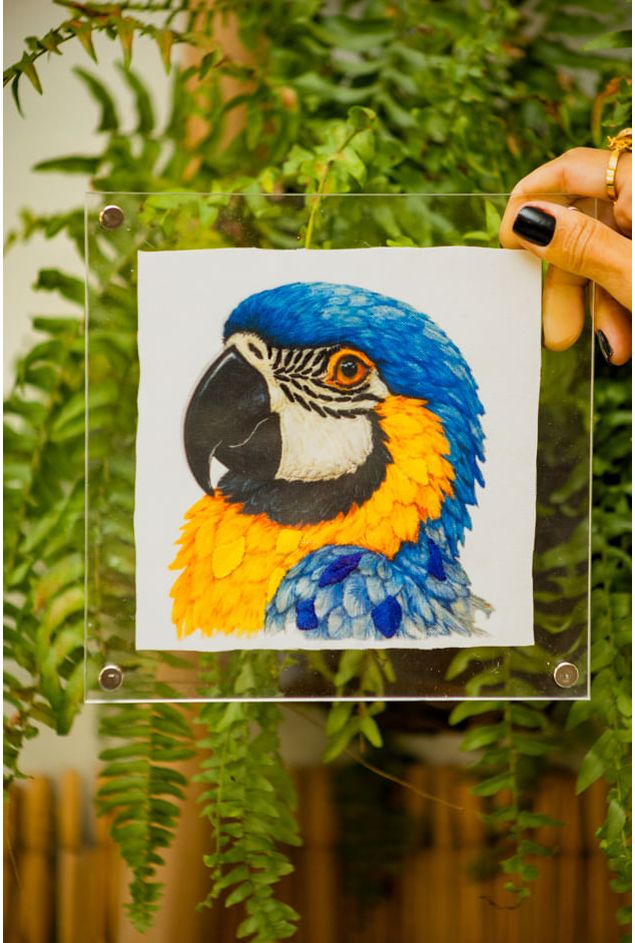 Mimo-nova-colecao-122 Mimo-nova-colecao-122