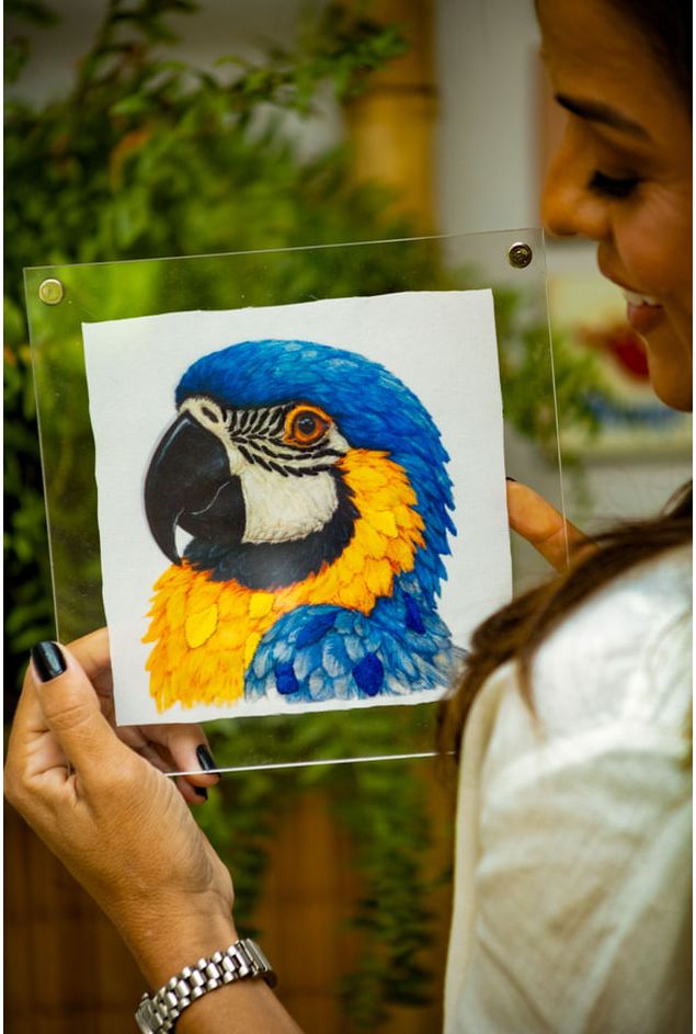 Mimo-nova-colecao-123