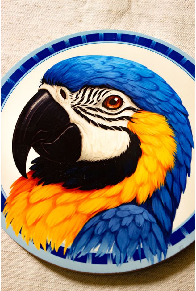 Azulejo-Decorativo-Redondo--Arara-Azul-Mimo-Galeria--2-