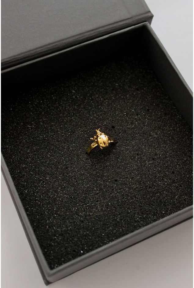 Anel-Joaninha-Ouro---Sui-Objetos--2-