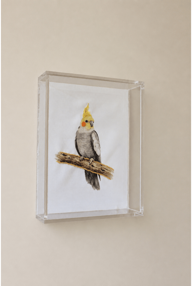 Quadro-Acrilico-Calopsita-Mimo-Galeria