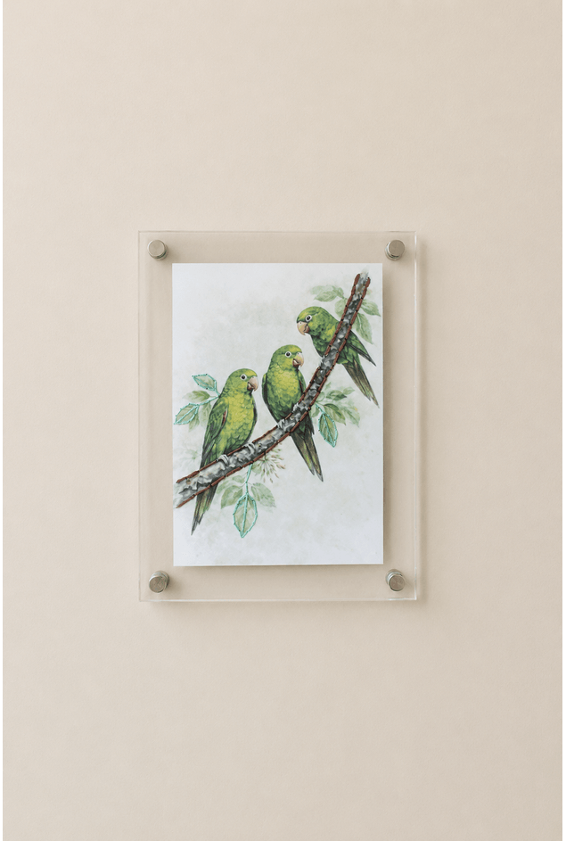 Quadro-Acrilico-Ararinhas-Mimo-Galeria